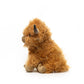 Brown Highland Cow - Warmable, Weighted, Washable  - Dimensions: Approx. 12" tall, 2 lbs